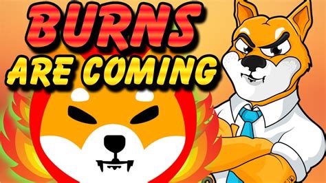 BURNS ARE COMING To Shiba Inu Token 2021 | Shiba Inu Coin Burn - YouTube