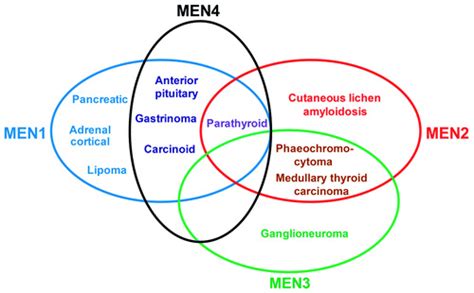 Men Syndrome Types