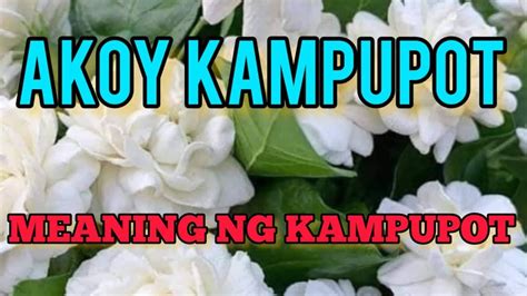 AKOY KAMPUPOT - YouTube