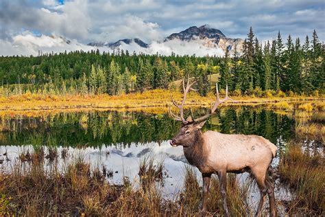 Canada's 10 Most Popular National Parks - WorldAtlas