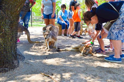 Zoo Near Me: A Quick Guide to the Best Zoos in Your City | Tanganyika Wildlife Park - Tanganyika ...