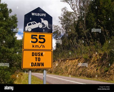 Wildlife crossing sign, dusk to dawn, Queensland, Australia Stock Photo - Alamy