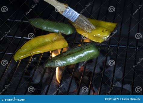 Poblano and Jalapeno Pepper Roasting on a Open Fire Grill. Stock Image - Image of grilling ...