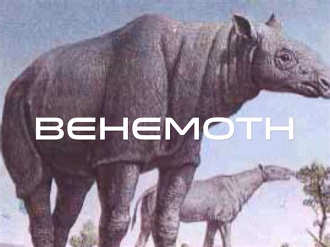 Bible Behemoth by Angelica Keith