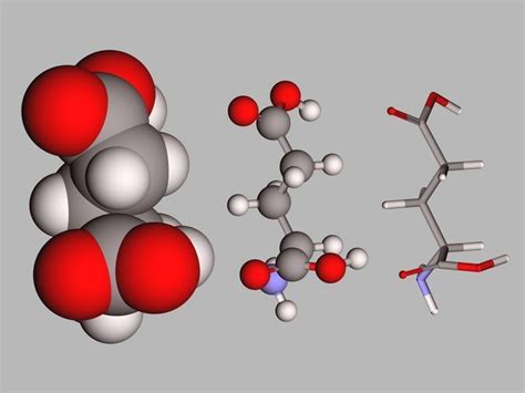 Collection of 21 alpha amino acids L- stereoisomers 3D model | CGTrader