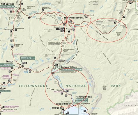 Finding and Photographing Yellowstone Wildlife