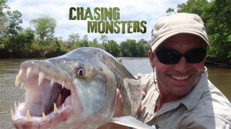 8 Best Fishing Shows on Netflix