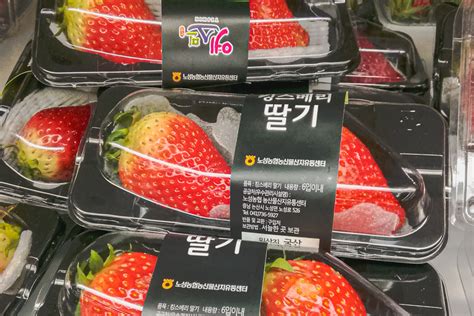 10 Korean Strawberry Varieties: Seolhyang, King’s Berry, Sancheong & More