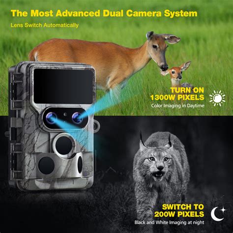 Trail Camera Guide – Campark - Focus on Cameras