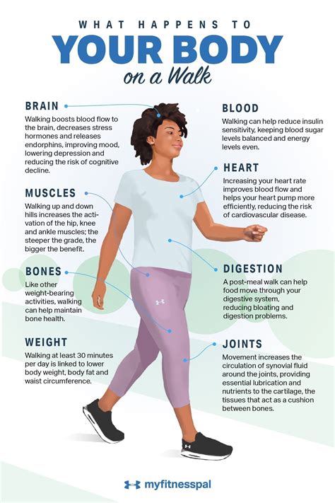 This Is What Happens to Your Body on a Walk | Walking for health ...