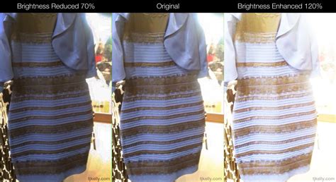 The dress is black & blue, but here's why you can't tell - TJ Kelly