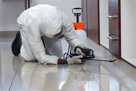 Advantages Of A Good Fumigation Services. – Green Safety Limited