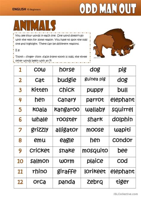 Odd One Out -ANIMALS warmer, filler…: English ESL worksheets pdf & doc