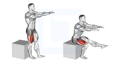 Pistol Squat to Box - Guide, Benefits, and Form