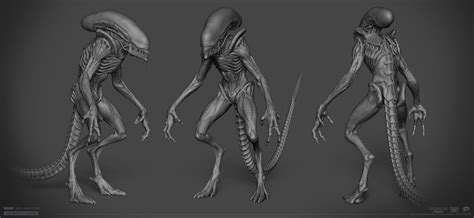 ArtStation - Xenomorph Runner, Danil Solovyov Creature 3d, Creature ...