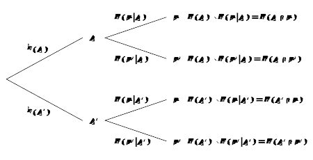 Conditional probability: Tree diagrams - Maths : Explanation & Exercises - evulpo