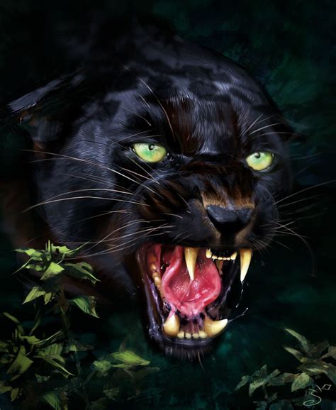 Black Jaguar Phone HD Wallpapers - Wallpaper Cave