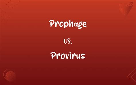 Prophage vs. Provirus: What’s the Difference?