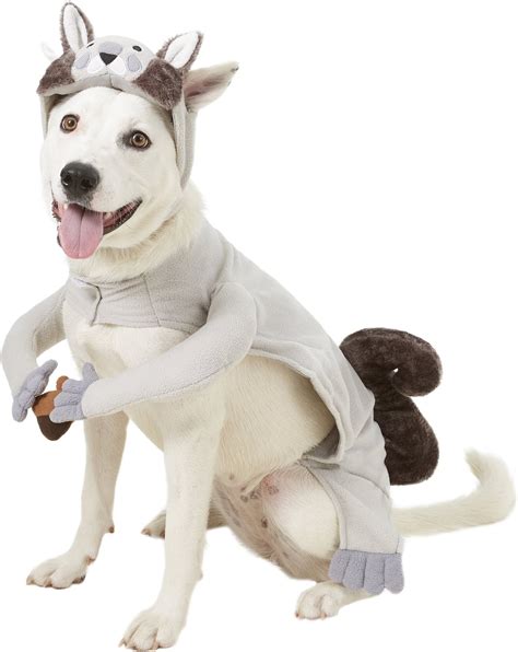 Rubie's Costume Company Squirrel Dog Costume, Large - Chewy.com