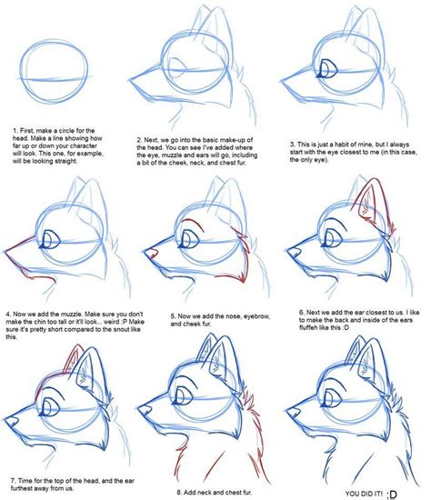 How to Draw Furries : Step by Step Guide | How to Draw