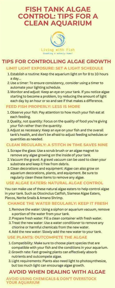 Fish Tank Algae Control: Tips for a Clean Aquarium - Living with Fish