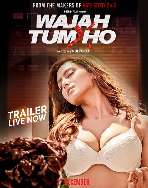 Wajah Tum Ho (2017) Movie Trailer, Cast and India Release Date | Movies