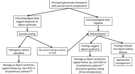 Alport Syndrome: Achieving Early Diagnosis and Treatment - American Journal of Kidney Diseases