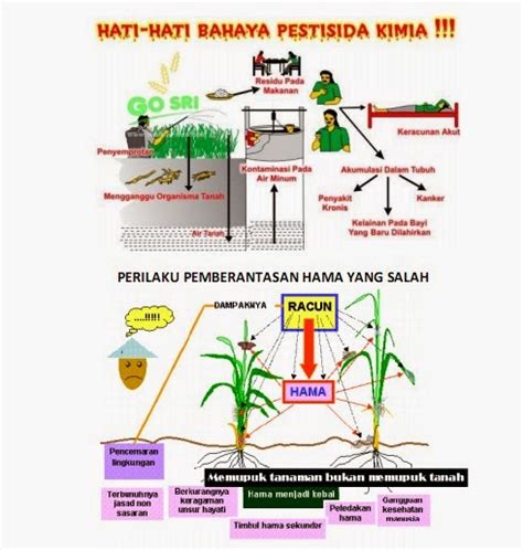 Bahaya Bahaya Bahaya Pestisida ~ Jejak Bpp Mojo