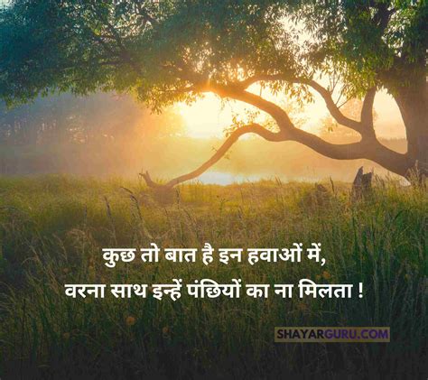 80+ Nature Quotes in Hindi | Best प्रकृति पर सुविचार