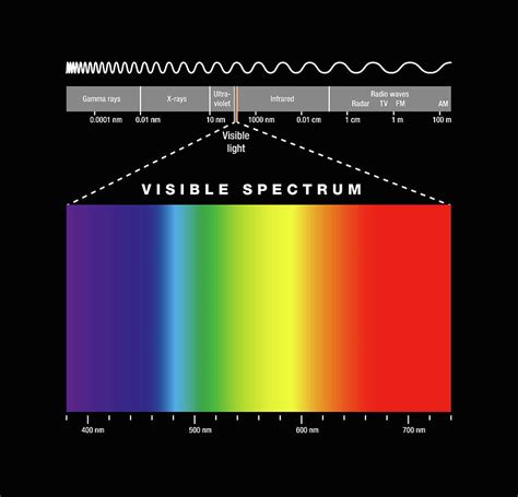 Visible Light Spectrum By DigitalPixel | ubicaciondepersonas.cdmx.gob.mx