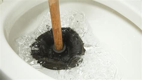 Best Toilet Plungers of 2024 | Top 10 Reviewed | Blocked Toilet Solution