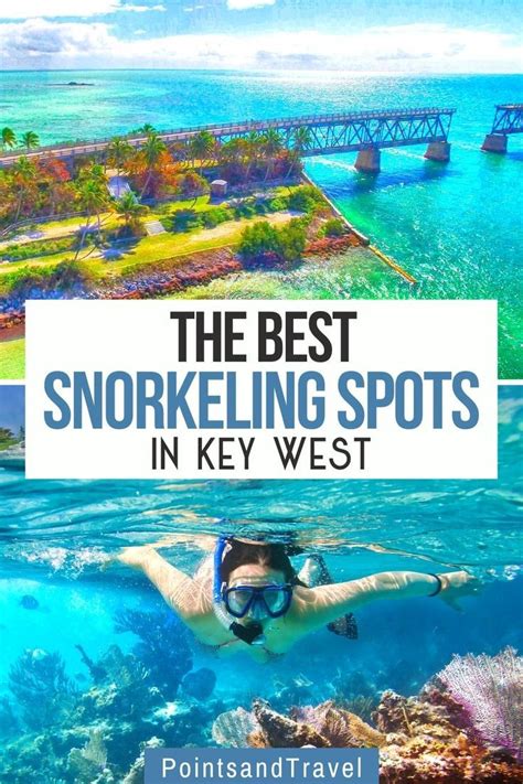 Key west snorkeling – Artofit