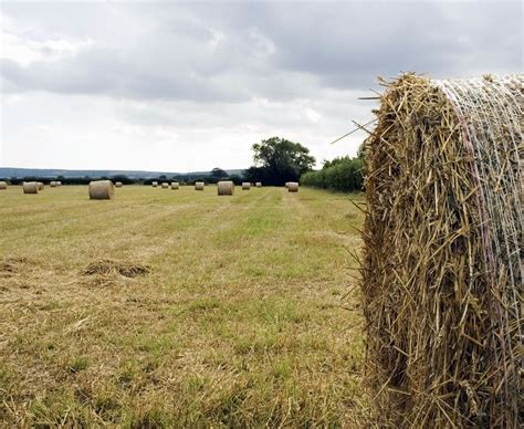 Free Harvest Time Stock Photo - FreeImages.com