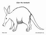 Aardvark Coloring Page sketch template