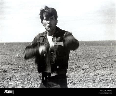 BADLANDS -1973 MARTIN SHEEN Stock Photo - Alamy