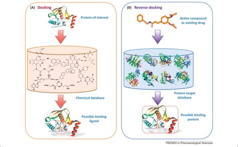 Principles Of Drug Design Ppt