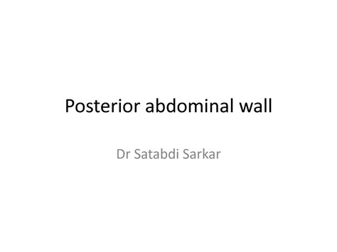 SOLUTION: Posterior abdominal wall mbbs notes describing about the ...