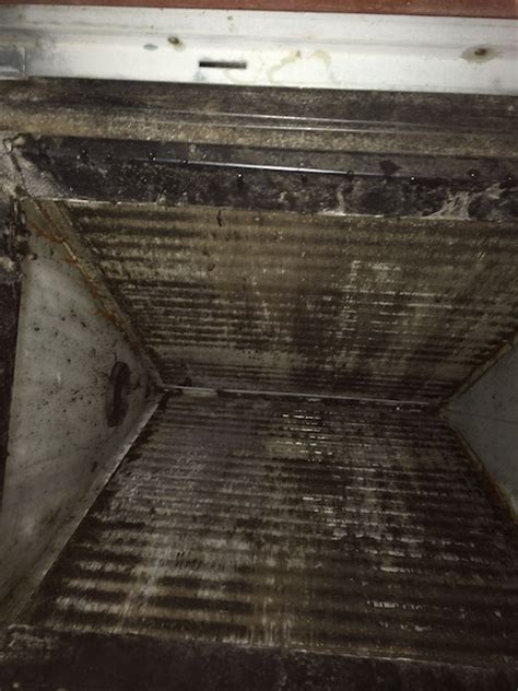 Is Your Air Conditioner Making You Sick? Dangers of Moldy Coils