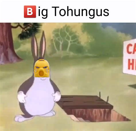 Big chungus has low meme potential : r/bioniclememes