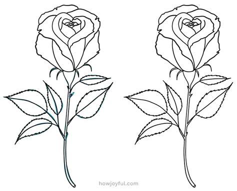 Simple Rose Sketch Easy