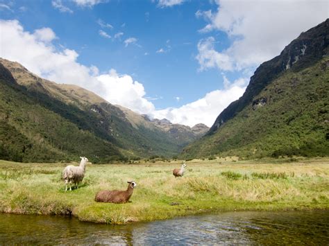 Hiking El Cajas National Park in Ecuador - Go Backpacking