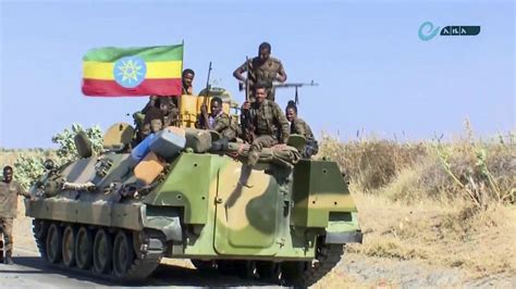 U.S., EU diplomats signal support for Ethiopian rebel group in secret meeting – The Zimbabwe Mail