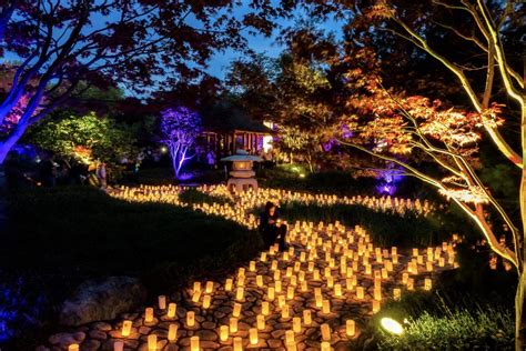 Nara Candle Festival celebrates anniversary | Canberra CityNews