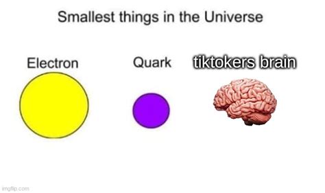 Smallest things in the universe - Imgflip