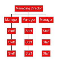 Tall Organisational Structures