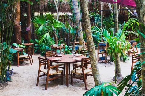 noma-mexico-tulum-rene-redzepi-popup-restaurant-review-food-foodie-eat-eating-dine-dining-best ...