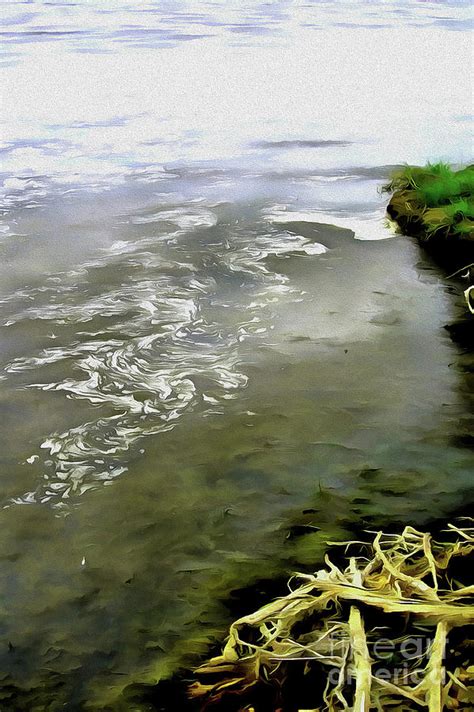 River Bank 1 Digital Art by Stocksom Art Prints - Pixels