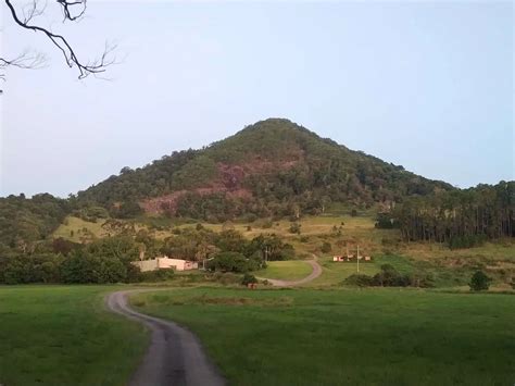 Cooroy Mountain - Climb, Bushwalking, Hike & Bike Trails Map, QLD