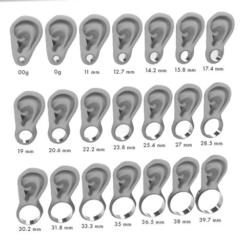 Titanium Ear Gauges, Lightweight Metal Plugs | Jewelry by Johan | Ear ...