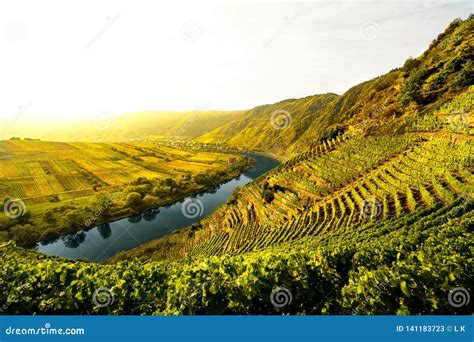 Klettersteig Calmont Bei Bremm an Der Mosel Stock Image - Image of weinberg, calmont: 141183723